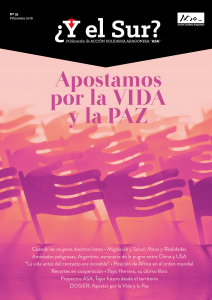 REVISTA ¿Y EL SUR?